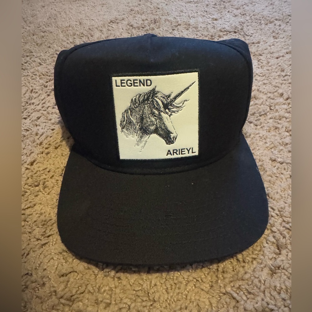 ⭐️ Arieyl NWT hat- earned- never worn ⭐️